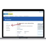 Afore Coppel consulta de saldo por internet