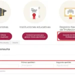 checar cédula profesional con curp