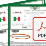 para que te piden el curp en un trabajo