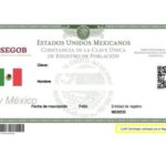 validación de CURP​