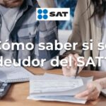 cómo puedo saber si debo al sat